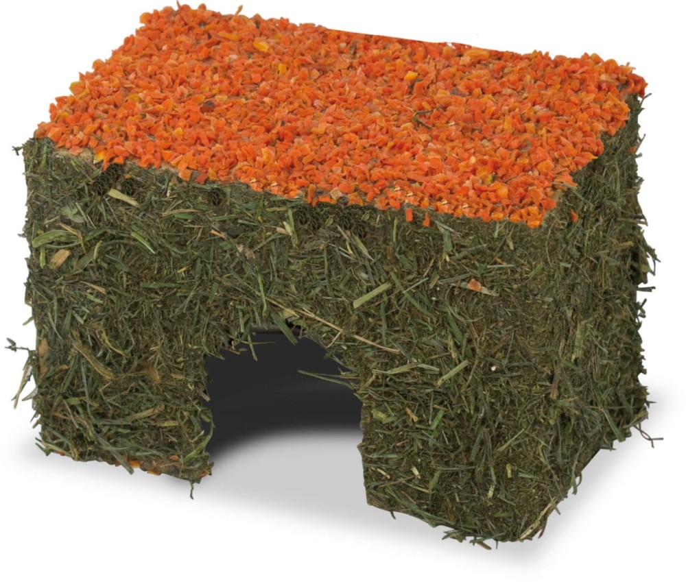 jr-hay-house-carrot-small-75-g.jpg