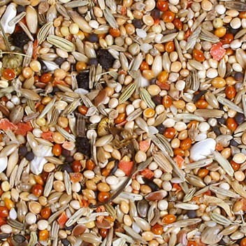 jr-birds-individual-karma-dla-nimf-1-kg (1).jpg