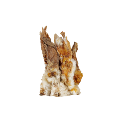 Uszy_krolika_z_sierscia (1).png