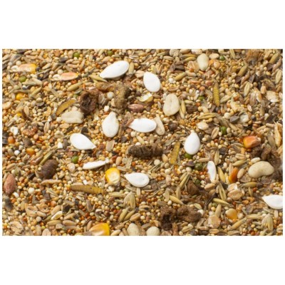 jr-farm-chomik-kar-owaty-feast-600g (1).jpg