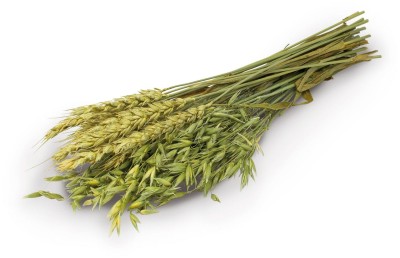 jr-farm-trava-a-klasky-25-g (1).jpg