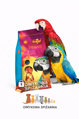 d3ee8572-4ee5-48ff-a32a-c9cc57bba04e (1).png