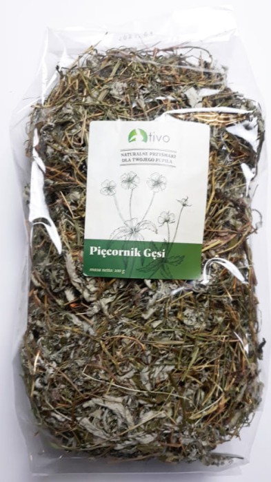 PIĘCIORNIK GĘSI ZIELE 100g TIVO