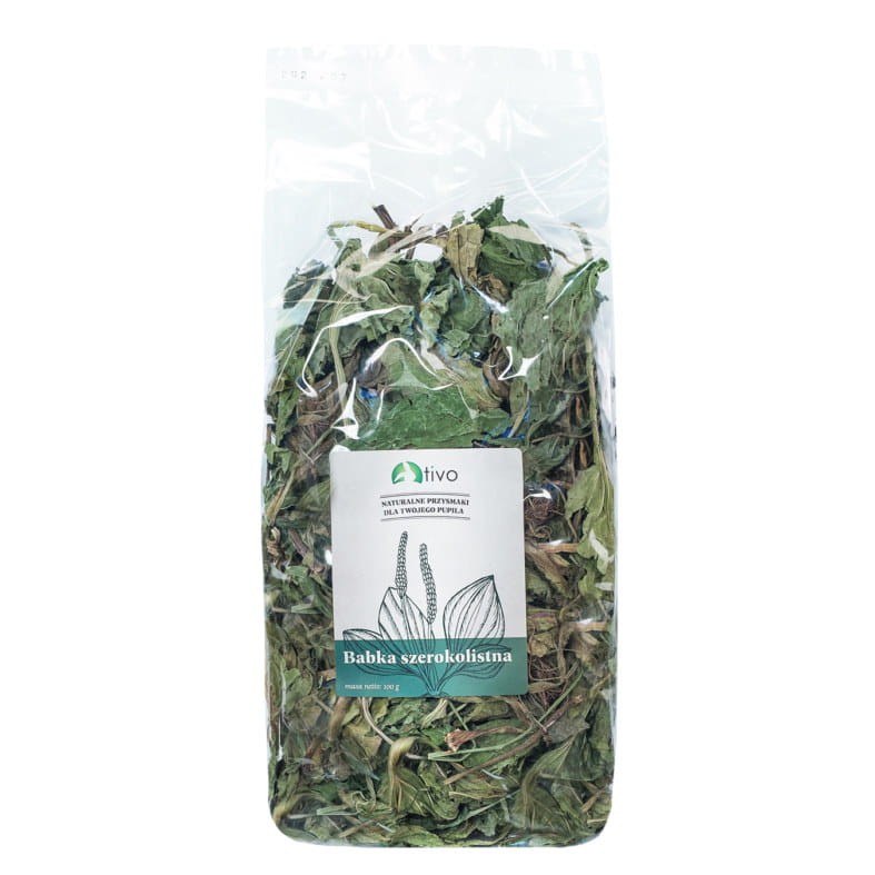 Babka-szerokolistna-tivo-787x787.jpg