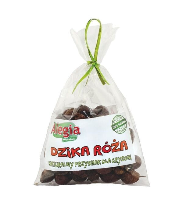 dzika-roza-1-600x678.jpg